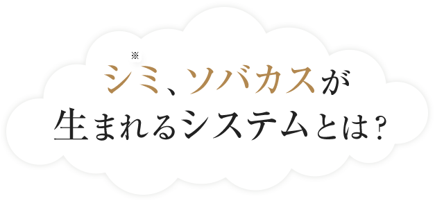 シミ、ソバカスが生まれるシステムとは？